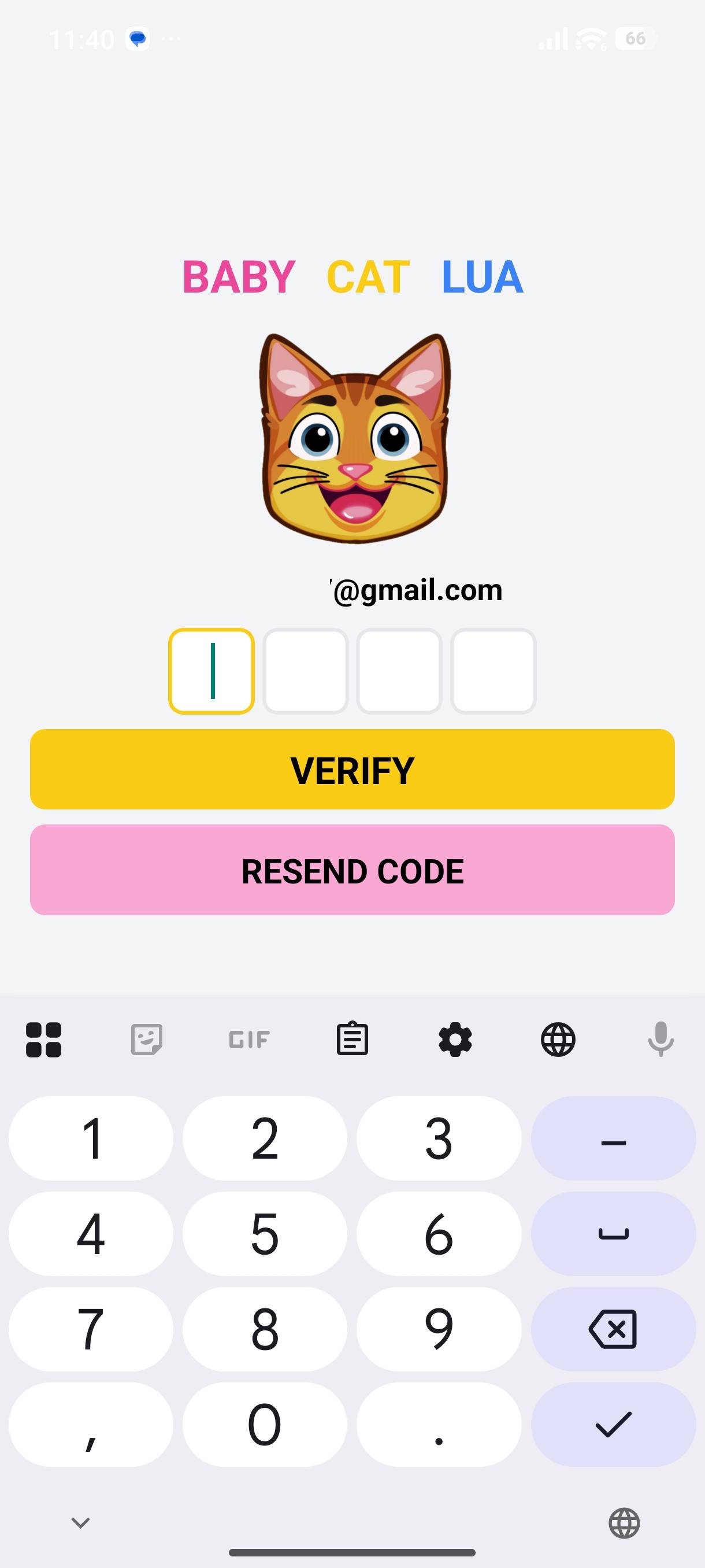 Verification screen