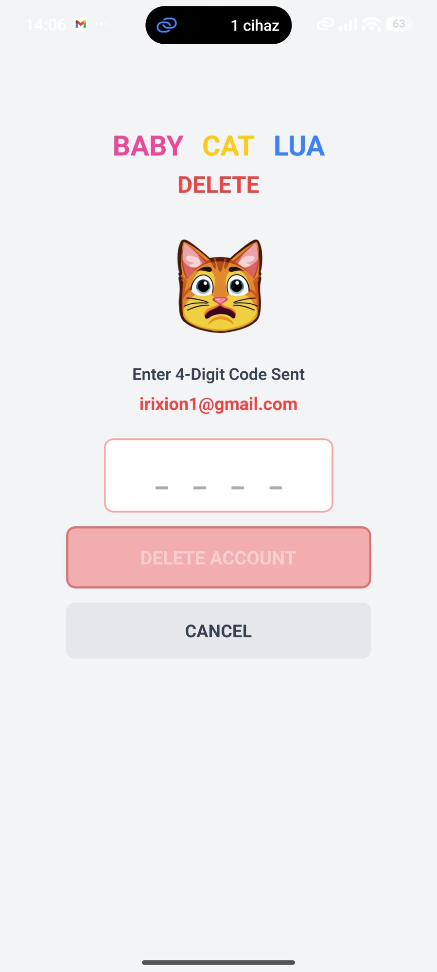 Delete verification screen